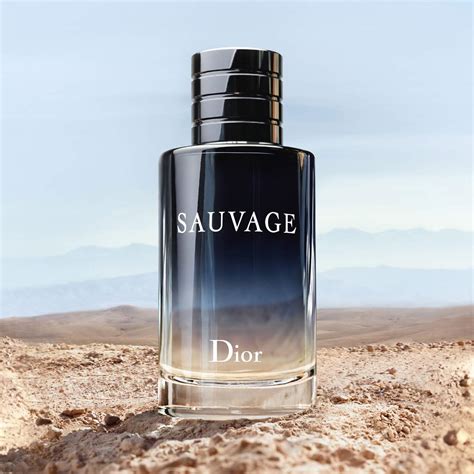 dior savage eu de toilette|dior sauvage cheapest price.